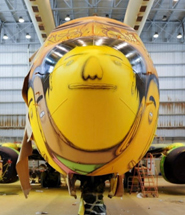 B737 Cover