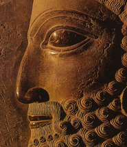 Persepolis Cover